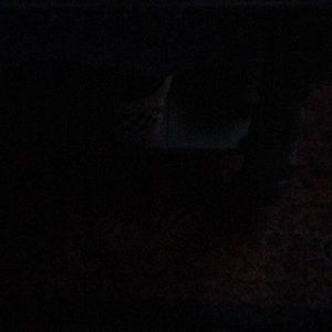 Meet your Posher, Dakota